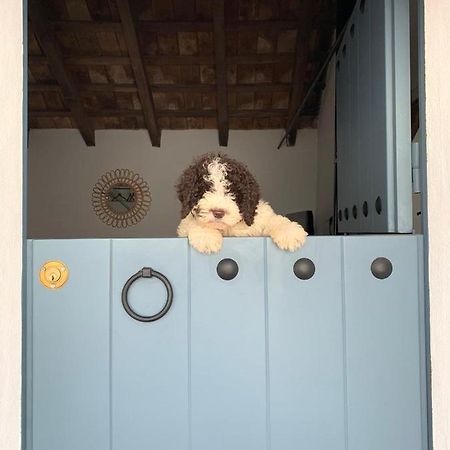 ボルノス La Puerta Azulヴィラ エクステリア 写真