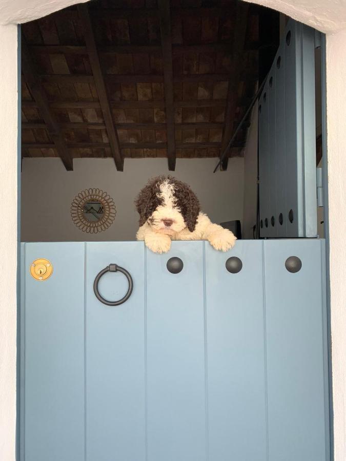 ボルノス La Puerta Azulヴィラ エクステリア 写真