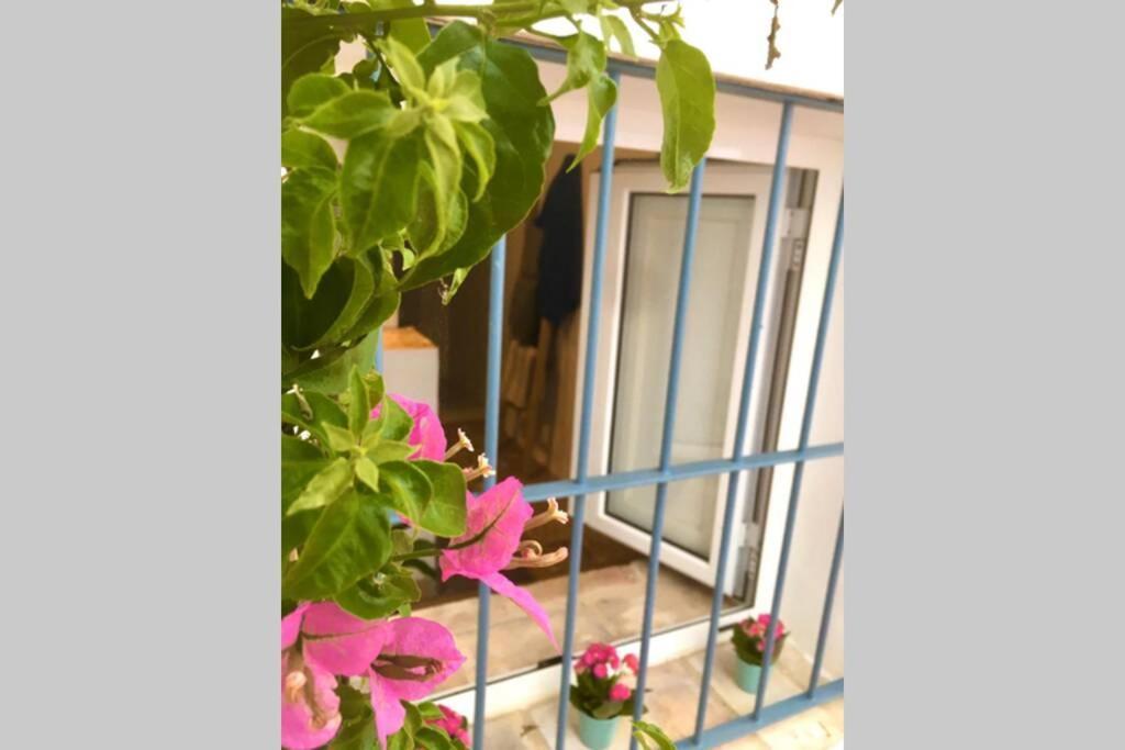 ボルノス La Puerta Azulヴィラ エクステリア 写真
